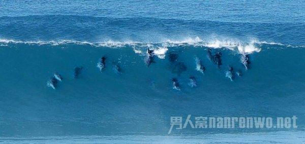 一湖南老农参观博物馆，竟说里面的枪是他的，领导调查后：是真的